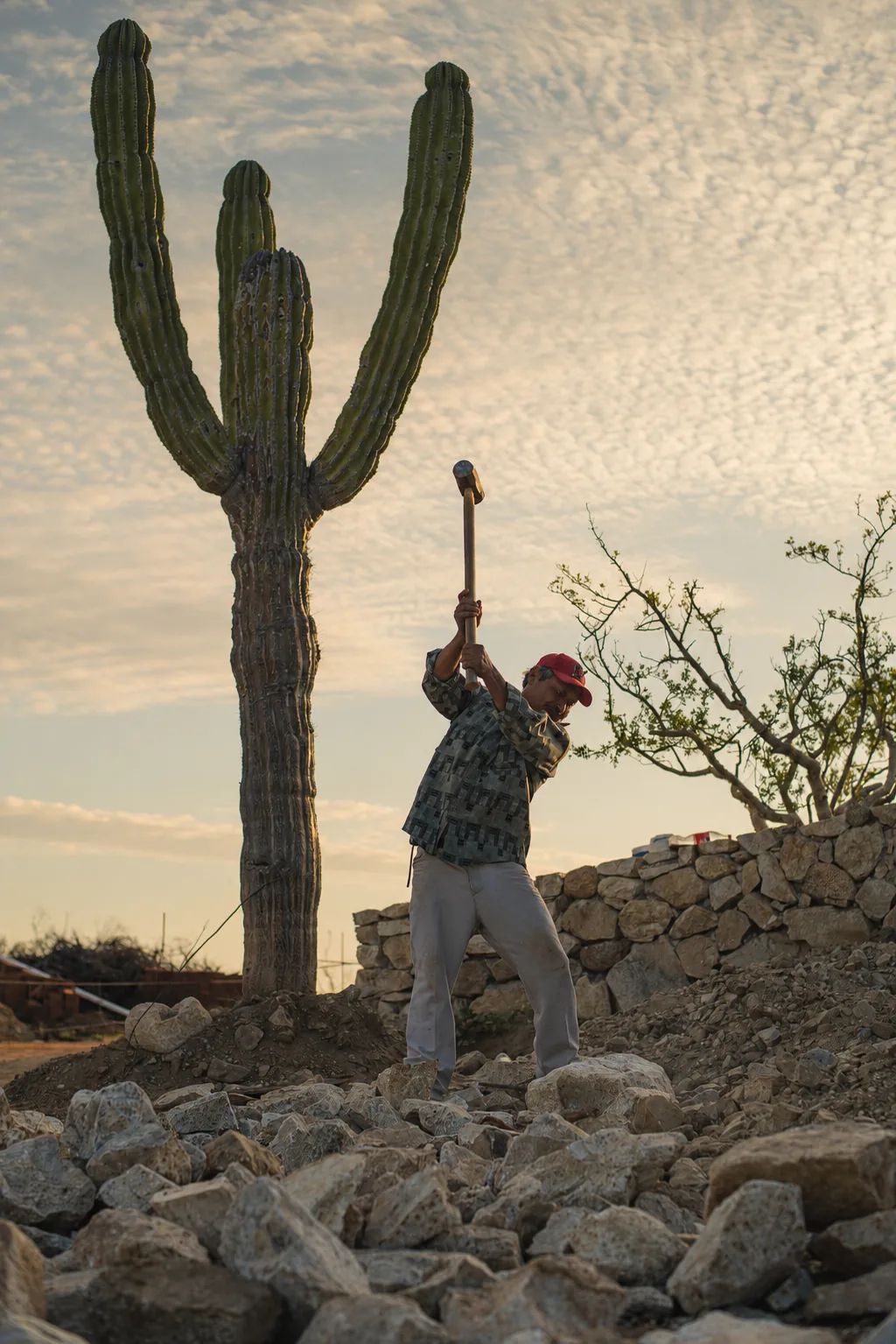 Stone work by hand beside a cardón cactus during the building of the estate