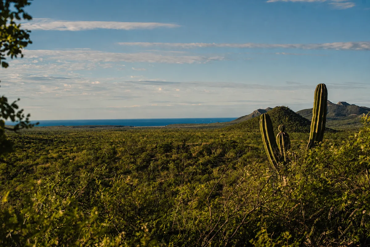 The desert running to the blue of the Sea of Cortés, seen from the estate