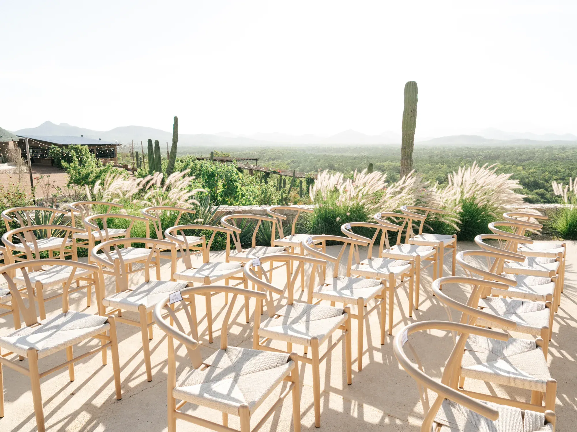 Ceremony chairs and pampas grass facing the open desert and mountains